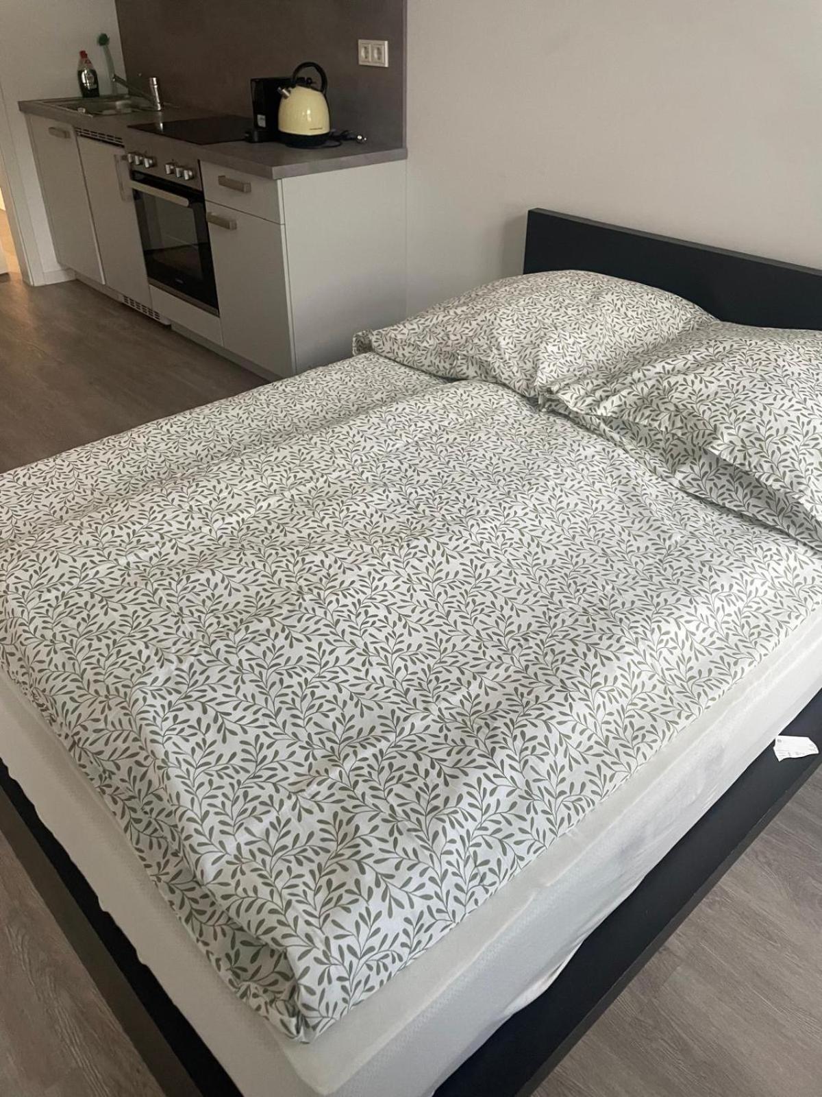 Studio Appartement W6 Trier Kültér fotó
